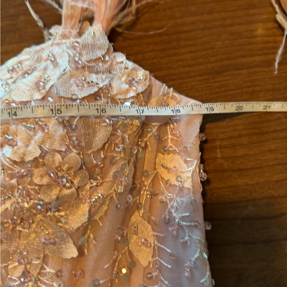 New | MAC DUGGAL
Pink Sheer Bustier Gown with Feather Straps | 10 | 20889 - Picture 7 of 8